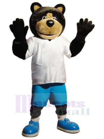 bär maskottchen kostüm