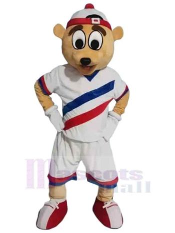 bär maskottchen kostüm