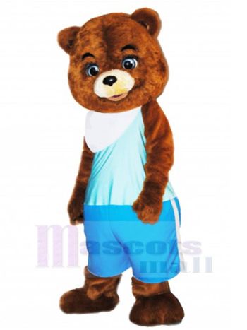 bär maskottchen kostüm