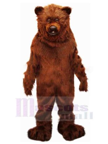 bär maskottchen kostüm
