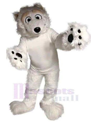 bär maskottchen kostüm