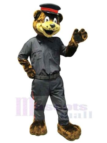 bär maskottchen kostüm