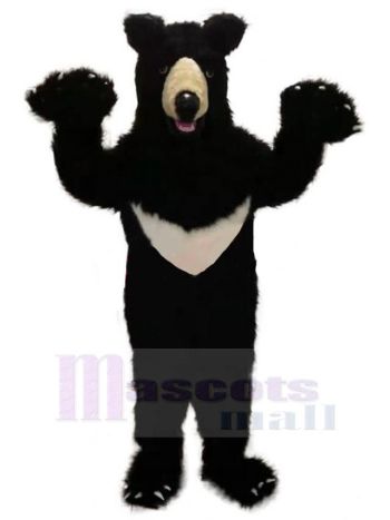 bär maskottchen kostüm