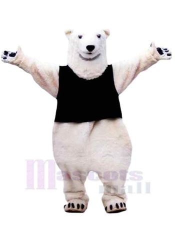 bär maskottchen kostüm