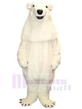 bär maskottchen kostüm
