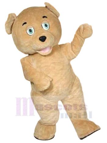 bär maskottchen kostüm