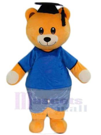 bär maskottchen kostüm