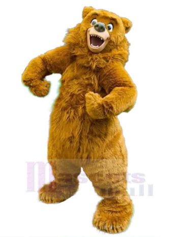 bär maskottchen kostüm