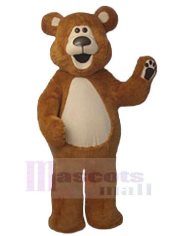 bär maskottchen kostüm