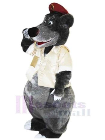 bär maskottchen kostüm