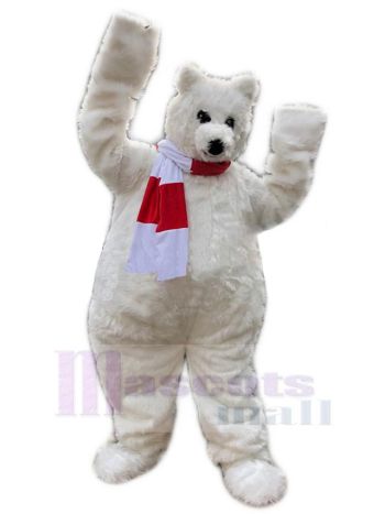bär maskottchen kostüm