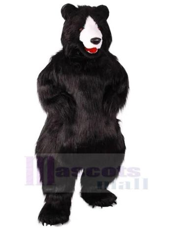 bär maskottchen kostüm