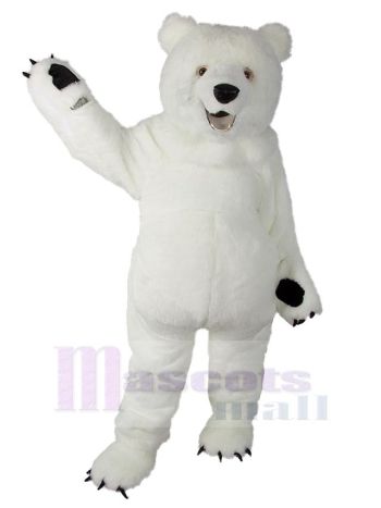 bär maskottchen kostüm