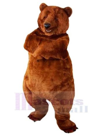 bär maskottchen kostüm