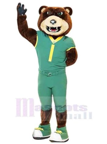 bär maskottchen kostüm