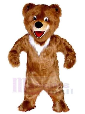 bär maskottchen kostüm