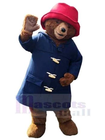 bär maskottchen kostüm