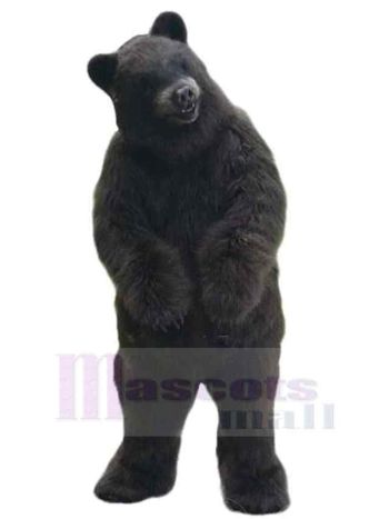 bär maskottchen kostüm