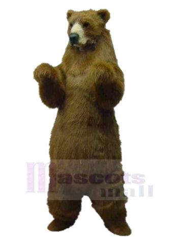 bär maskottchen kostüm