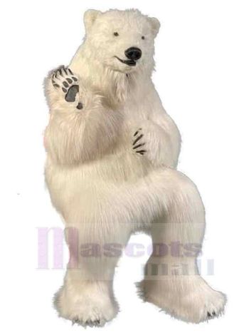 bär maskottchen kostüm