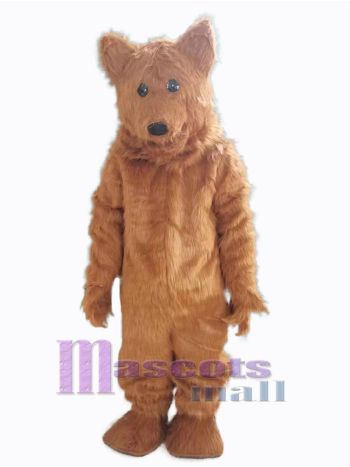 bär maskottchen kostüm