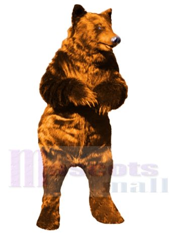 Wildbär Maskottchenkostüm