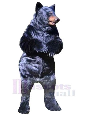 bär maskottchen kostüm