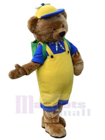 bär maskottchen kostüm