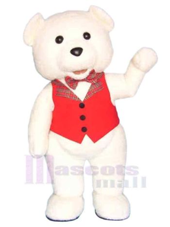 bär maskottchen kostüm