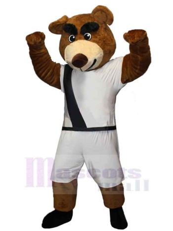 bär maskottchen kostüm