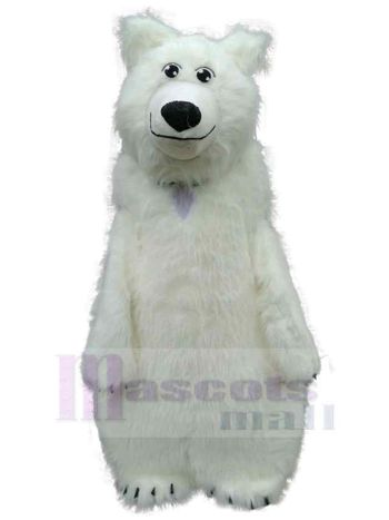 bär maskottchen kostüm