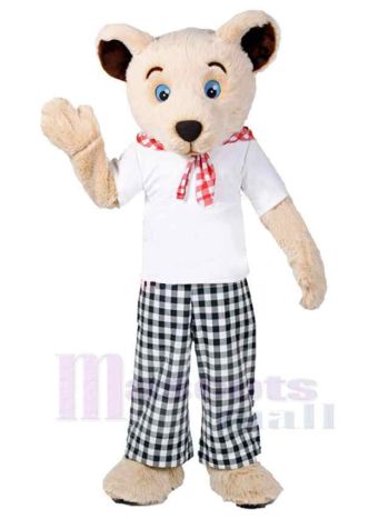 bär maskottchen kostüm