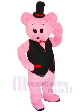 bär maskottchen kostüm