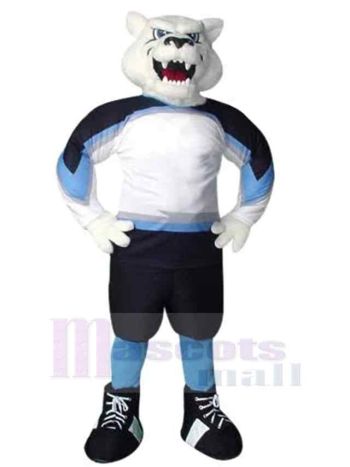 bär maskottchen kostüm