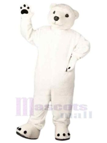 bär maskottchen kostüm