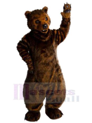 bär maskottchen kostüm