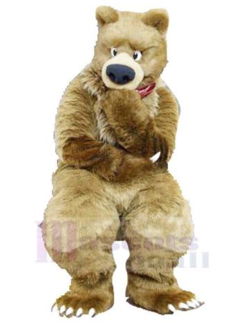 bär maskottchen kostüm