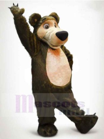 bär maskottchen kostüm