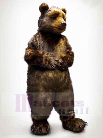 bär maskottchen kostüm