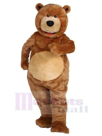 bär maskottchen kostüm