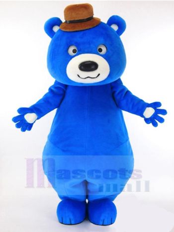 bär maskottchen kostüm