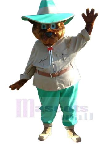 bär maskottchen kostüm