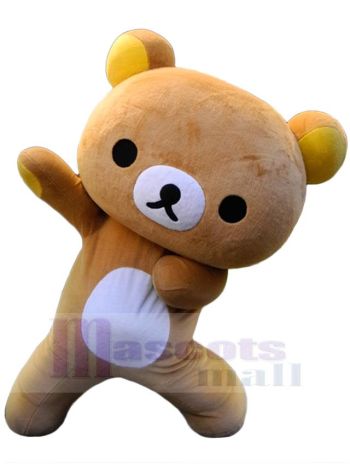 bär maskottchen kostüm
