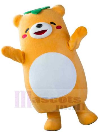bär maskottchen kostüm