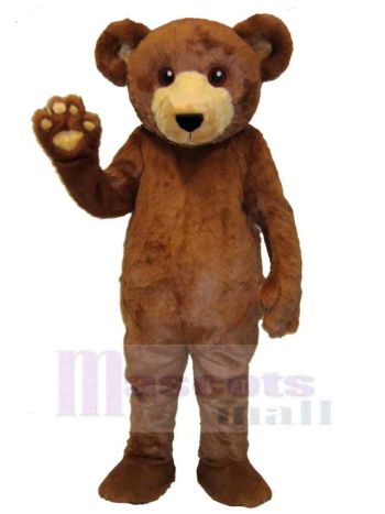 bär maskottchen kostüm
