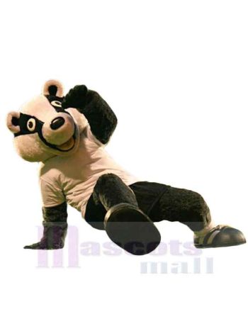 bär maskottchen kostüm