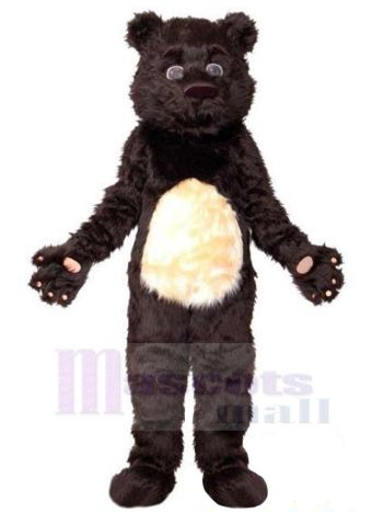 bär maskottchen kostüm