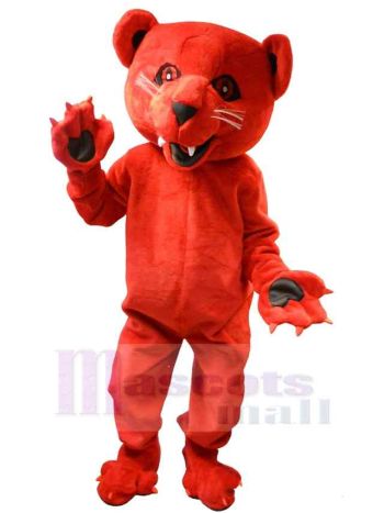 bär maskottchen kostüm