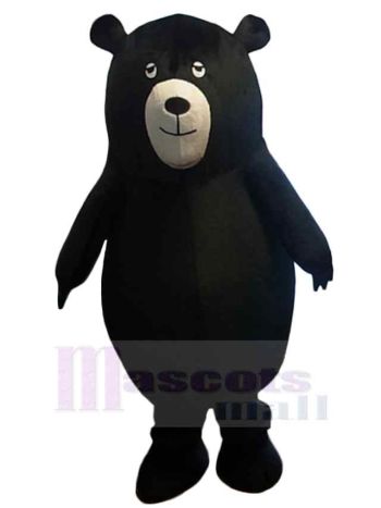 bär maskottchen kostüm