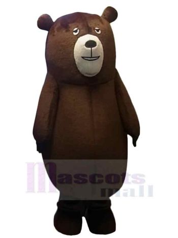 bär maskottchen kostüm